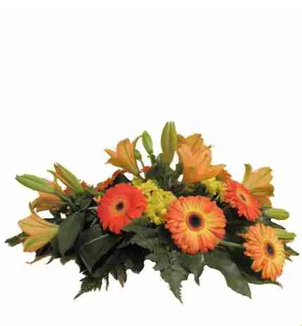 Cojinete gerbera-lilium CV4