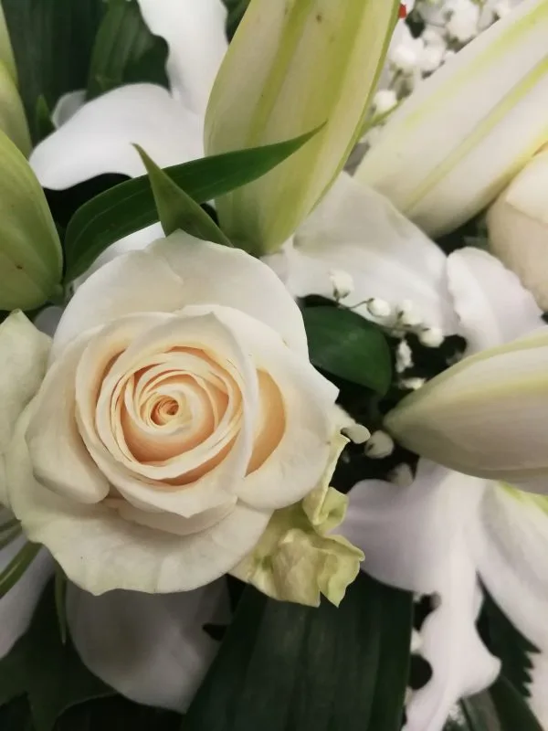 ramo 5 rosas blancas con lilium - Imagen 2