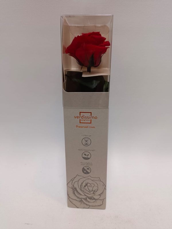 rosa eterna roja tallo corto